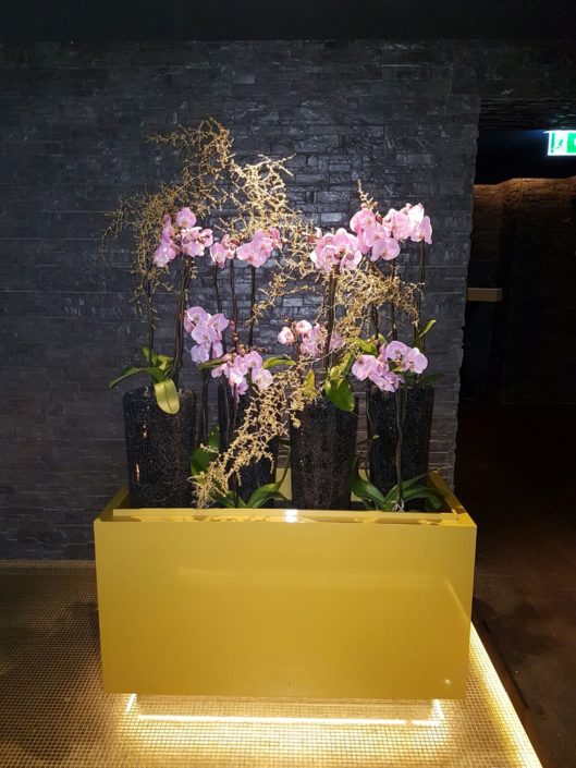 2016-12-12 18.43.12-2